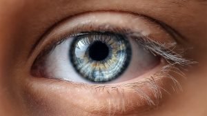 Blue-Macro-eye-close-up-5-Best-Foods-for-Eye-Health-ss-feat